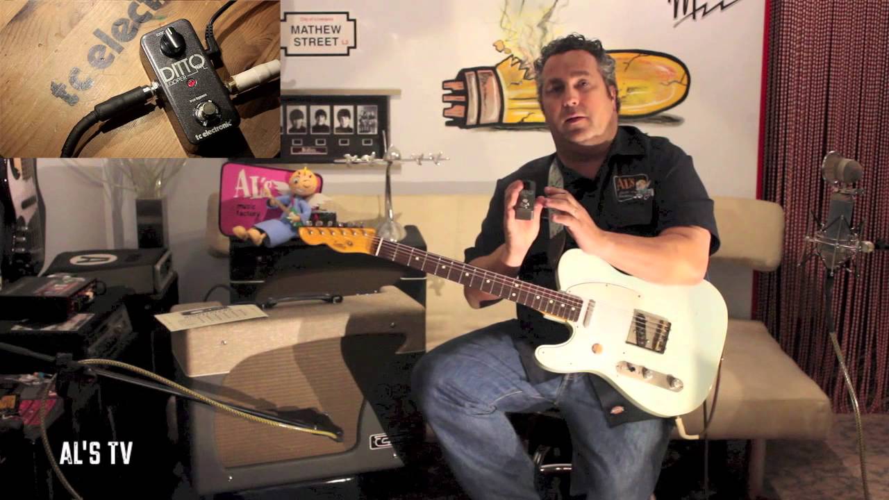 TC ELECTRONIC DITTO LOOPER EXCLUSIVA MUNDIAL AL'S MUSIC FACTORY