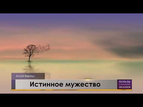 Video: Жасалма эшиктер (42 сүрөт): айнек жана жасалма элементтери бар темир кире бериштер, жеке үй үчүн жасалма буюмдар