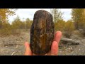 50 Million Year Old Petrified Wood, Agates, River Treasures | Fall Rockhounding on the Yellowstone