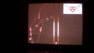 Bots That Mimic Bugs: Part 1.2 screenshot 4