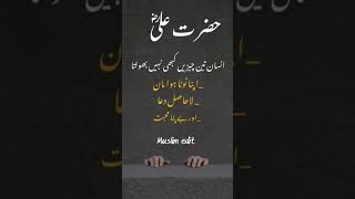 #hazrataliquotes #islamicshorts #allahuakbar #poetry #hazratali #islamicvideo #muslimedit #status