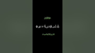 سورة النجم [39 | 44]  القارئ #محمد_اللحيدان #قران_كريم #quran #قرآن #الله