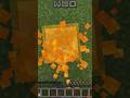 #minecraft smartypie honeyblock clutch