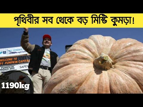 ভিডিও: তুমি পৃথিবীর সবচেয়ে মিষ্টি