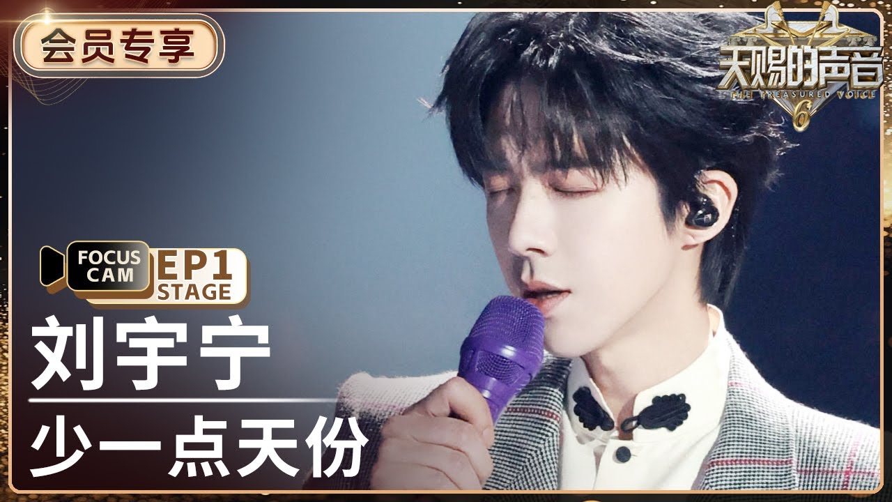 【VIP📀单人直拍】刘宇宁《少一点天份》 | Focus Cam | #天赐的声音6 EP1 20250418 - YouTube