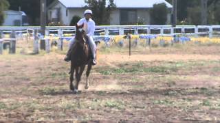 Bro.rider.mpg Rider Class