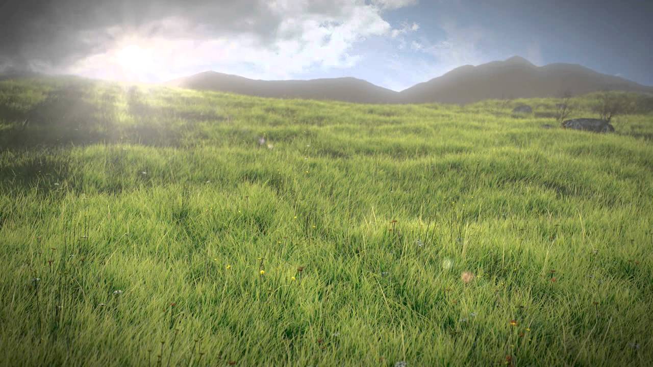 Realistic Grass Field Blender 2.6 HD - YouTube