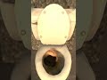 skibidi toilet 7 créditos a dafuqboom
