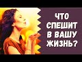 ЭТО СПЕШИТ В ВАШУ ЖИЗНЬ! ЧТО ГОТОВИТ ВАМ СУДЬБА? Таро онлайн