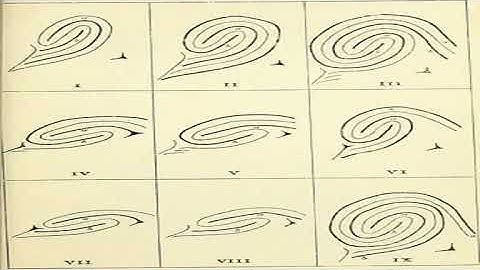 dermatoglyphics multiple intelligence test software 91 8692 999510