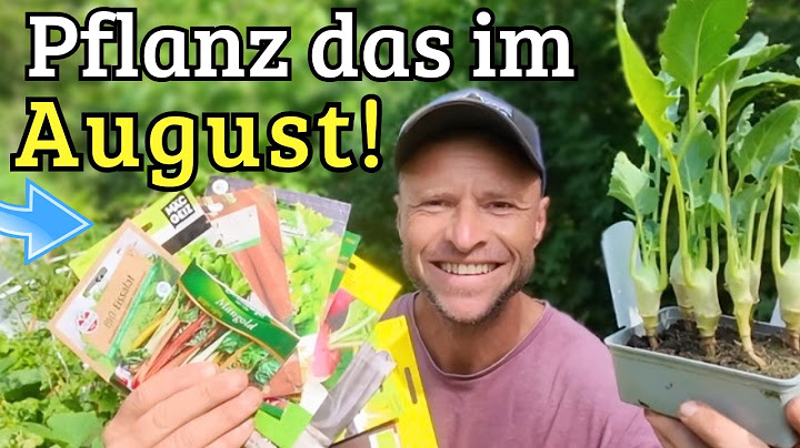 Aussaat im August -14 GEMÜSE die Du JETZT säen kannst!