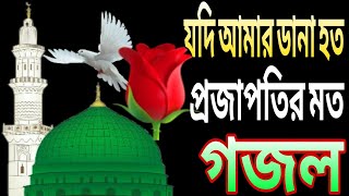 সালাম পাঠাই ইয়া রাসুল আল্লাহ বাংলা গজল MDAR MEDIA