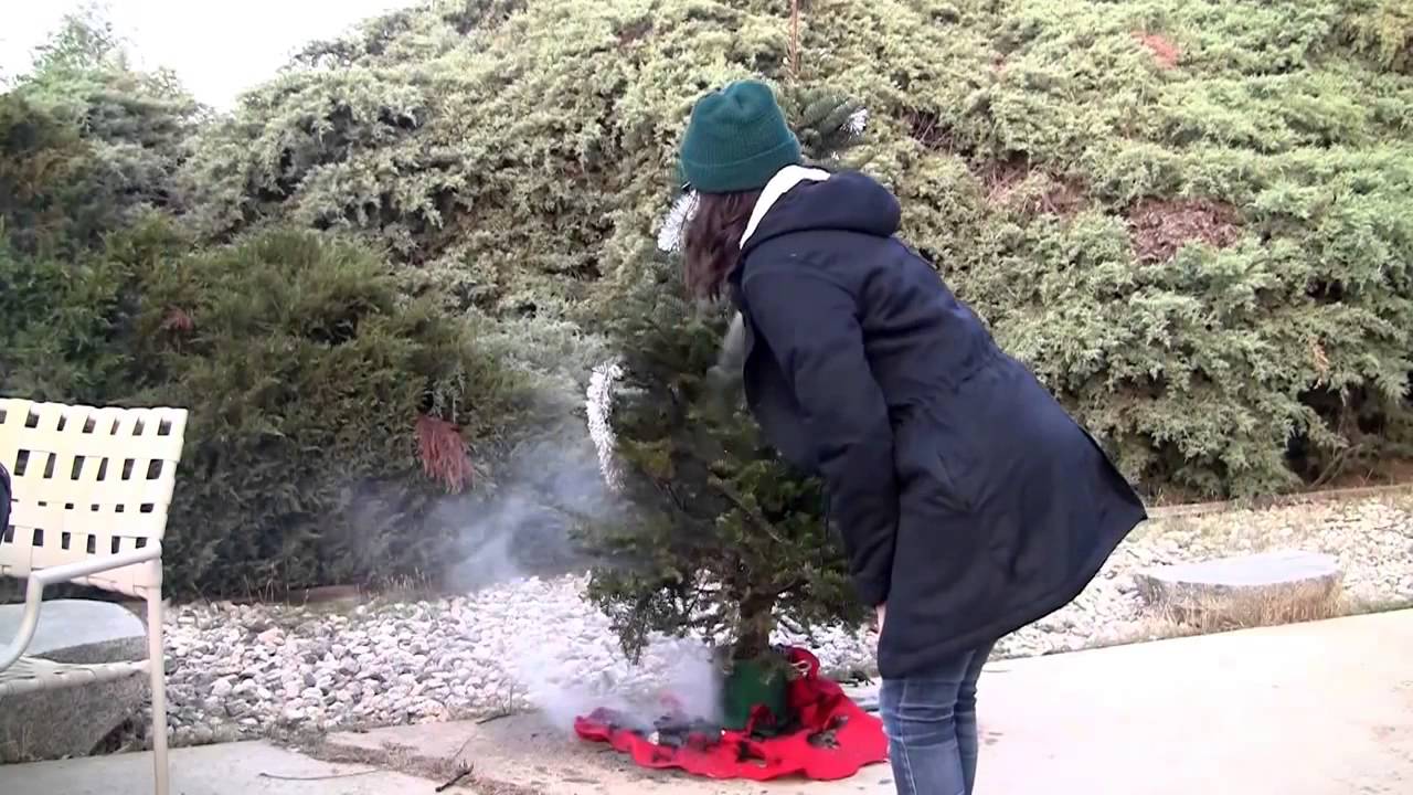 How to Put Out a Christmas Tree Fire in Seconds YouTube