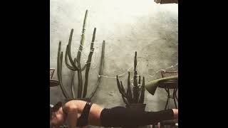 Addison Timlin stories