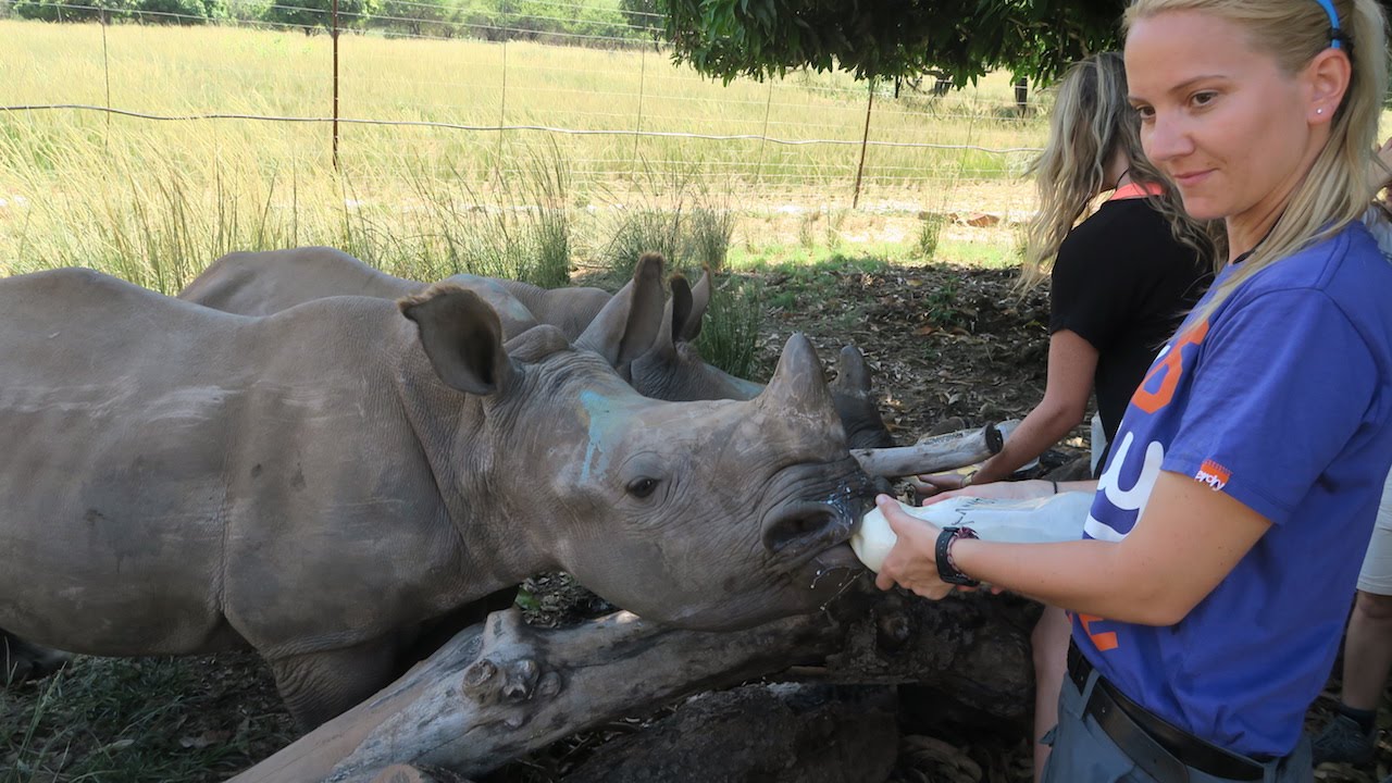 Orphaned Rhinos at Care for Wild 