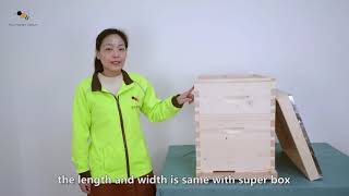 Dadant Beehive