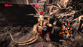 Evolve RANKED HUNT