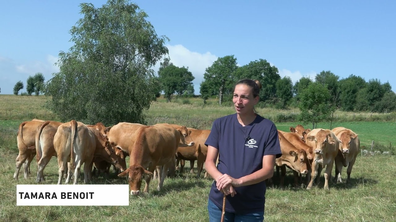 Sabots de bronze campagne 2023