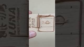 Setting Up A Wooden Mousetrap  Setting Up An Oldfashioned Classic Mouse Trap luna mouse