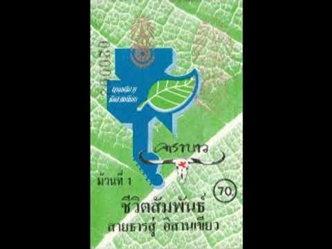 ชีวิตสัมพันธ์ -​ รวมศิลปิน​ (2530)​