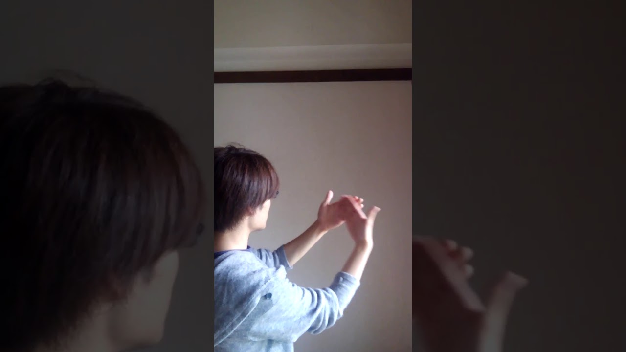 絵の手話のやり方は 趣味に関する単語表現を動画で解説 しゅわぶくろ