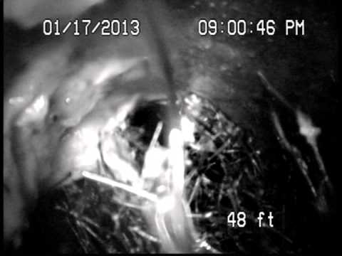 27447 Bahama Ave. Mainline Sewer Footage