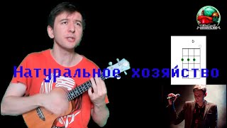 Натуральное хозяйство (Дайте Танк(!) укулеле cover)