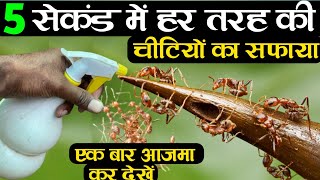 5 सेकंड में हर तरह की चीटियों का सफाया | Ant Control Home Remedies | Chiti Marne Ki Dawa |Ant killer