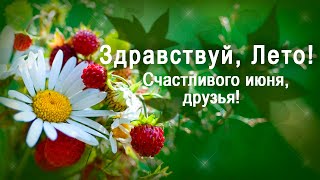 Лето,ах, Лето! Здравствуй ,Лето! Музыкальная открытка! Пожелание друзьям!