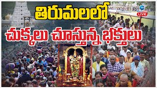 LIVE: Huge Devotees Crowd @ Tirumala Temple | TTD | తిరుమలలో చుక్కలు చూస్తున్న భక్తులు | ZEE  News