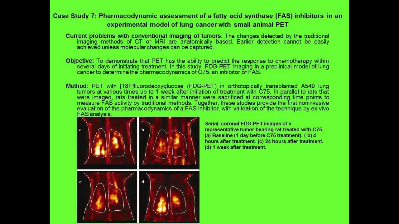 Small Animal Imaging Techniques