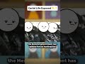 Cartel Life Exposed — Part 7 #DidYouKnow #ViralStories #DocumentaryStyle