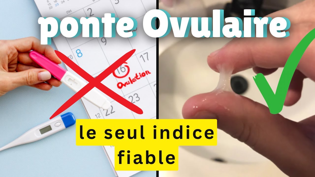 Comment connaitre son jour d' ovulation ?
