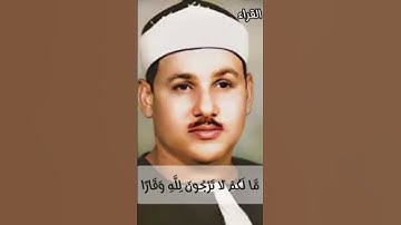 تلاوة خاشعة #القرآن_الكريم #تلاوة_خاشعة #القرانالكريم #تلاوات #ارحقلبك