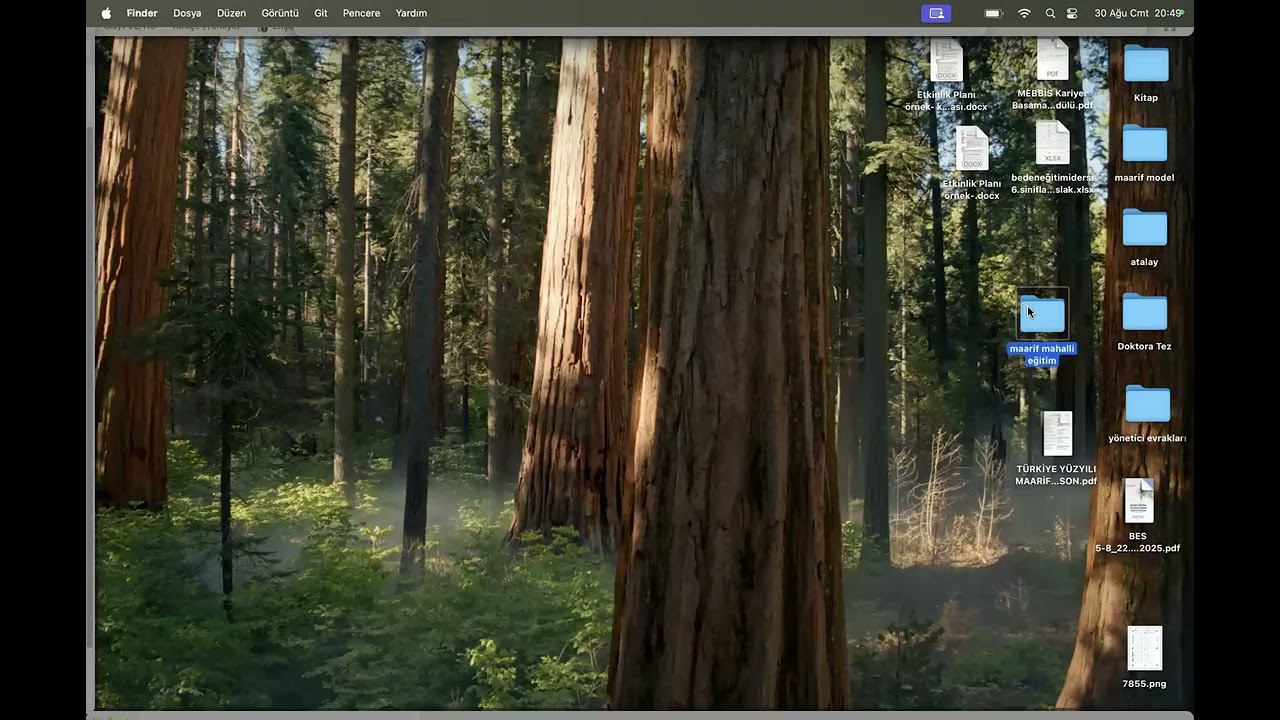 maarif beden eğitimi 2