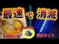 【 人生観が変わる】コバエ300匹を数日で消滅する方法を教えます! コバエホイホイ不要！ 自作コバエホイホイ・めんつゆホイホイ・【最強・殺虫ライト】