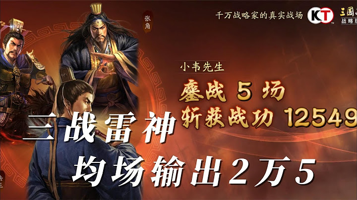三国志战略版张角雷神，均场输出2万5！ - 天天要闻