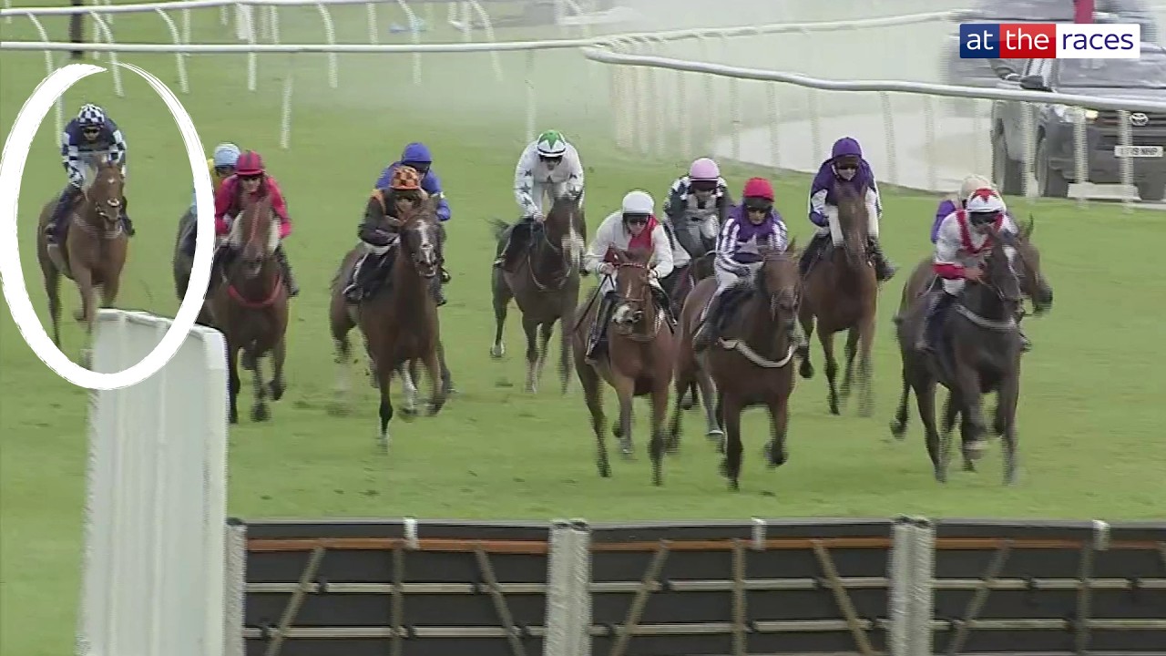 Just incredible! Amazing ride from Sean Bowen at Uttoxeter 😯