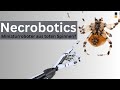 Necrobotics - Tote Spinnen und Bienenprodukte ermöglichen Miniaturroboter