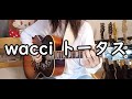wacci トータス 弾き語り