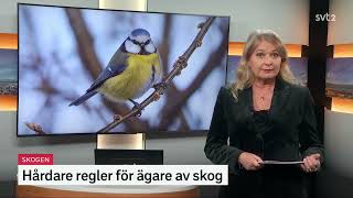 Nyheter på lätt svenska. 21.02.2022 17:55