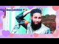 Some important points about mouloodfirdous raza qadri 