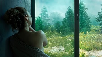 CGI Forest Clip in Cinema 4D and Octane