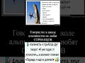 🧗 Альпинисты и горы #юмор #мем #шуточное #анекдоты #прикол #ржач #смешновидео #мемас #ржака  #memes