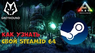 🐺 Как узнать свой SteamID 64
