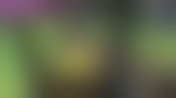 Farming Simulator 2015 BENCHMARK AT E2220 2.4GHz,2400XT 256MB and 2GB RAM