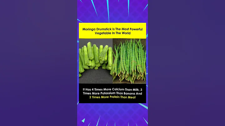 Moringa Drumstick Is The Most Powerful Vegetable In The World
