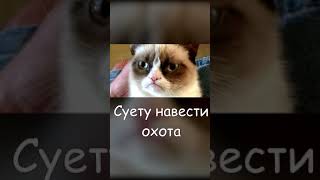 Суету навести охота! - Мир танков - World of Tanks #Shorts