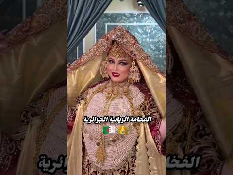 الشدة التلمسانية العريقة الهمة والشان الجزائر تقاليد جزائرية عرس جزائري  