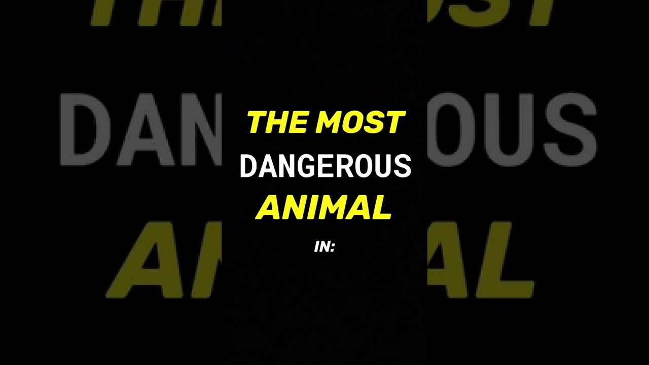 The Most Dangerous Animal In Oklahoma 😳 shorts YouTube